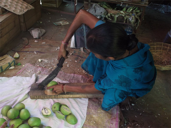Cutting the raw mangoes with special cutter (maamidi kaya Katti peeta)